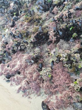 Tayland 'ın kuzeyindeki deniz manzarası çok güzel.