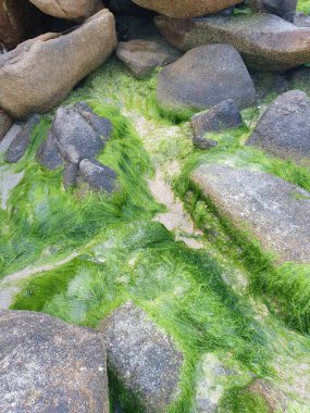 Güzel deniz manzarası