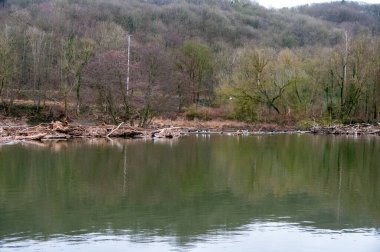 Ormanlı nehrin güzel manzarası
