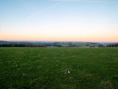Ağaçların manzarası.