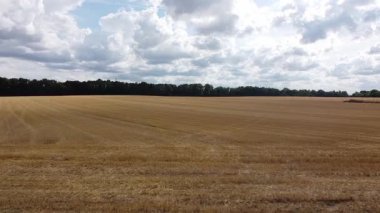 alan buğday yaz gün.