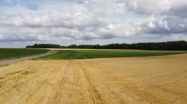Buğday tarlalarından geçen bir yol..