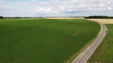 Mısır, mısır ve buğday tarlalarının hava manzarası
