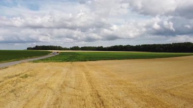 Buğday ve araba tarlalarının arasından geçen bir yolun havadan görünüşü. Yaz manzarası