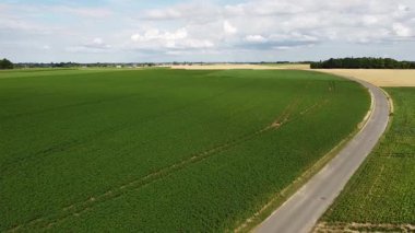 Yeşil tarlaların ve ağaçların havadan görünüşü