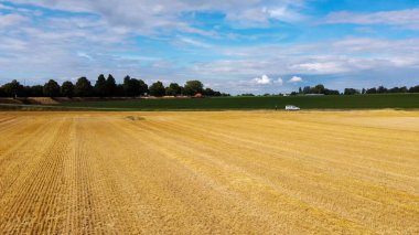 Kırsaldaki bir buğday tarlasında büyük bir traktör..