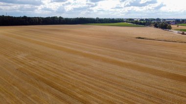 Polonya 'daki tarımsal alanların en üst görüntüsü. tarlaların havadan görüntüsü.