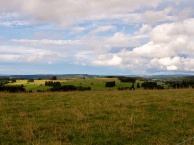 Yeşil çimen ve mavi gökyüzü manzarası