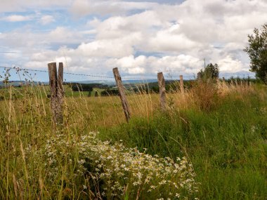 Arka planda çit ve çit olan bir çit manzarası.