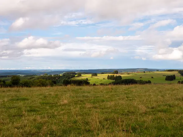 Çimen ve ağaçlardan oluşan güzel bir arazi.