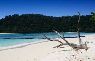 Koh Rok, Tayland 'ın güneyinde, Andaman Denizi' nde bulunan küçük bir takımada. Koh Lanta adasına yakın bir yerde yer almaktadır ve en iyi şnorkelle yüzme noktasıdır, Yengeç, Tayland