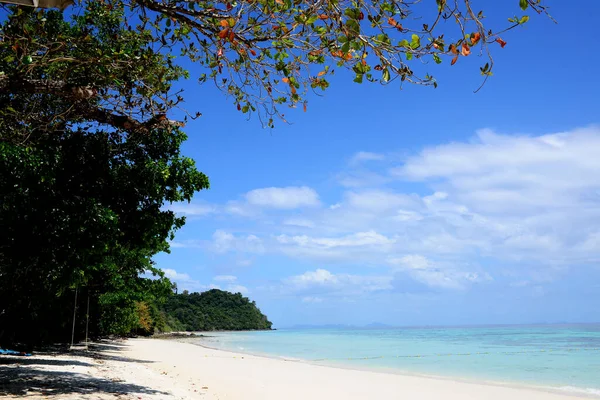 Koh Rok Ilha Rok Pequeno Arquipélago Sul Tailândia Mar Andamão Imagens Royalty-Free