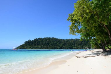 Koh Rok, Tayland 'ın güneyinde, Andaman Denizi' nde bulunan küçük bir takımada. Koh Lanta adasına yakın bir yerde yer almaktadır ve en iyi şnorkelle yüzme noktasıdır, Yengeç, Tayland