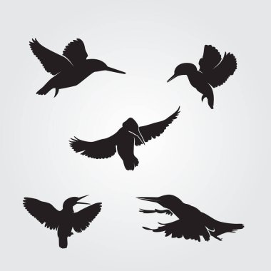 Kingfisher kuşları vektör illüstrasyonunu silueti