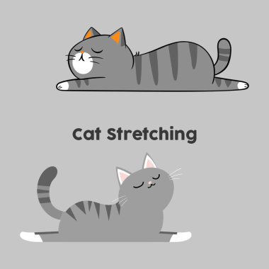 Kedi çizgi filminin vektör kümesi. Düz stil. beyaz arkaplanda izole