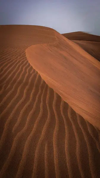 Çölde kum tepesi. Yüksek kalite fotoğraf