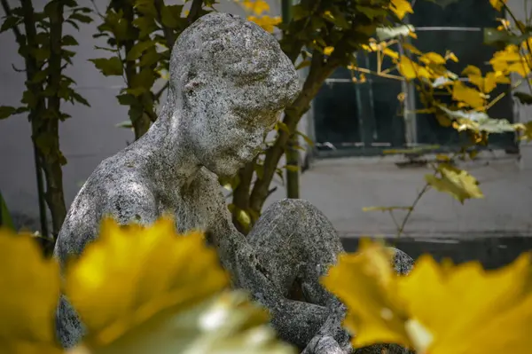 stock image Weathered Stone Statue in Garden. High quality photo