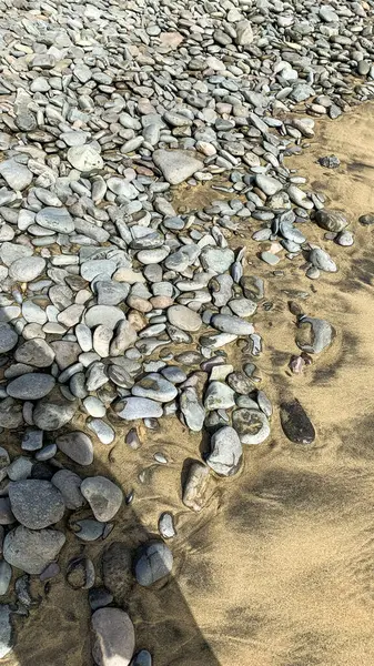 Deniz kenarındaki kum tepeleri dalgalandı. Yüksek kalite fotoğraf