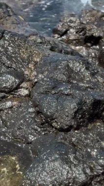 Tenerife 'deki siyah volkanik kayaların yakın çekimleri adaların eşsiz jeolojik oluşumlarını ve doğal güzelliklerini gözler önüne seriyor. Yüksek kalite 4k görüntü