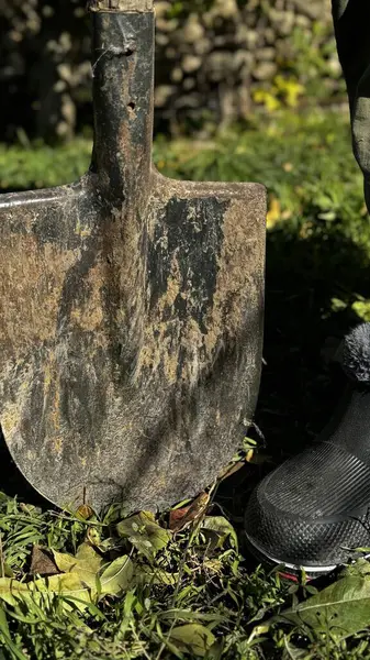 Aşınmış kürek, düşen yapraklarla çevrili yeşil çimenlerin üzerinde duruyor. Sağlam botları olan bir işçi, güneşli bir öğleden sonra bahçe işleri için hazır bekliyor..