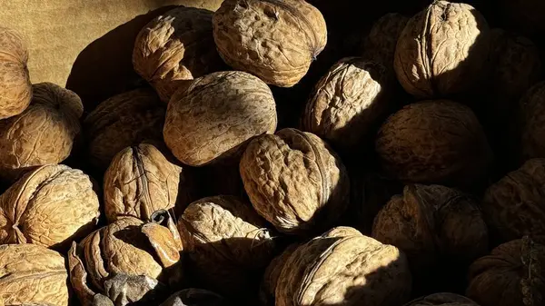 Cevizler sıcak, davetkar bir ortamda ayarlanır, yumuşak doğal ışıkla aydınlatılır, karmaşık dokuları ve renkleri sergilenir. Bu huzurlu an kırsal cazibeyi vurguluyor..