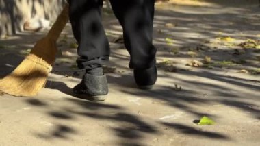 Genç bir çocuk, neşeli bir köpekle birlikte güneşli bir yolda yürüyor. Çevresindeki alan canlı sonbahar yapraklarıyla süslenerek açık havada güzel bir an yaratıyor..