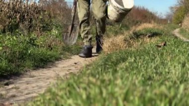 Tarım. Lastik çizmeli çiftçi mısır tarlasında yürüyor. Toprakta mısırla birlikte çiftçi ayakları. Tarım konsepti. Mısır tarlasında lastik çizmeli bir çiftçi. Tarım sektörü mısırı. Bereketli toprak