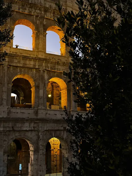 Colosseum alacakaranlık gökyüzüne karşı görkemli bir şekilde duruyor, kemerleri sıcak bir şekilde parlıyor. Ön plandaki zeytin ağaçları İtalya, Roma 'daki bu ikonik bölgenin tarihi atmosferini güçlendiriyor..