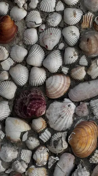 Yunan avlularının tipik bir mozaik tasarımında yuvarlak beyaz ve toprak tonlu taşlardan oluşan çakıllı döşeme. Yüksek kalite fotoğraf