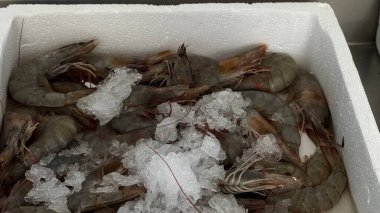 Pazarda beyaz bir sandıkta kalın bir buz yatağında taze karides, deniz ürünleri ticareti, aşçılık ve taze görseller için ideal. Yüksek kalite fotoğraf