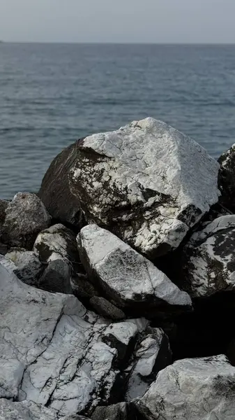 Pürüzlü kayaların sakin okyanus suyuyla buluşması, jeoloji, doğa veya seyahat görselleri için ideal desenli ve engebeli bir kıyı şeridi. Yüksek kalite fotoğraf