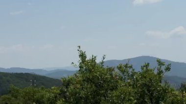 Doğanın güzel manzarası