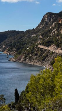 Turkuaz suları, engebeli uçurumları ve berrak mavi gökyüzü altında yemyeşil bitki örtüsü olan İbiza 'nın sahili..
