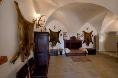 Svojanov Kalesi 'nin iç manzarası