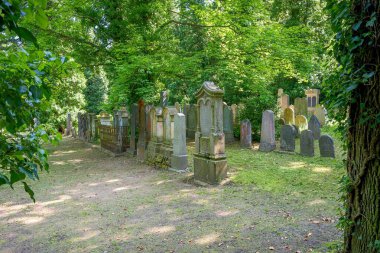 Humpolec 'teki Yahudi mezarlığı manzarası