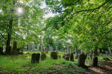 Batelov 'daki eski Yahudi mezarlığı manzarası