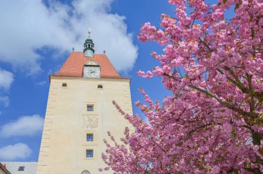 Pelhrimov, Jihlavska kulesindeki çiçek açan ağaçların manzarası