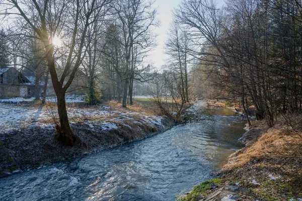 Ağaçlar, kar ve buzla kaplı kış manzarası