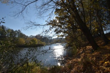 Doğa sahnesinde güzel manzara