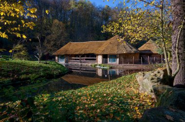 Hayvanat bahçesi manzarası, su seviyesi, ahşap binalar, Afrika köyü taklidi, sazlık çatılar, sonbahar güneşi, sarı yapraklar, sis.