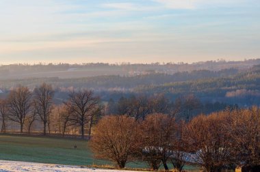 Aralık 2024 'te Hodejovice yakınlarındaki Pelhrimovsko' daki Vysoina manzarası, kar olmadan.