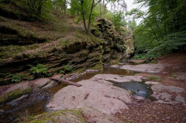 Güney Bohemya 'daki Zidova Strouha Akıntısı, Çek Cumhuriyeti Kayalıklı Yaz Manzarası, Lush Vegetatione