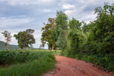 Tarım için kırsal alandaki kum yolu hakkında