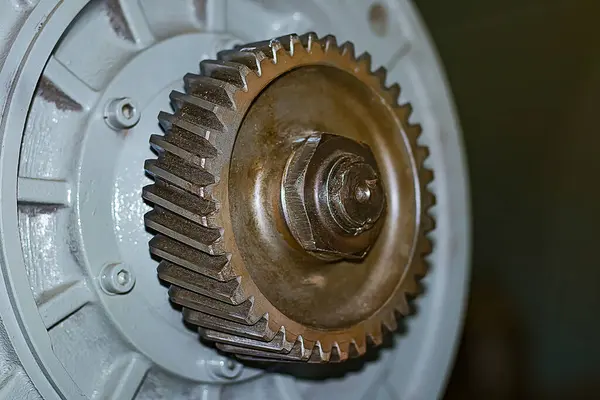 Çam kozalağı dişini ve servisini incelemek için motor çıkarıldı.