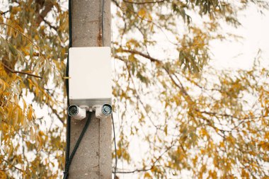 Çeşitli telekomünikasyon cihazlarıyla donatılmış bir elektrik direği, canlı sonbahar yeşillikleri arasında dimdik ayakta duruyor.