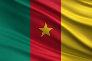 İpek-Kumaş Üzerinde 3B Görüntü Kamerun Bayrak-Dokuma