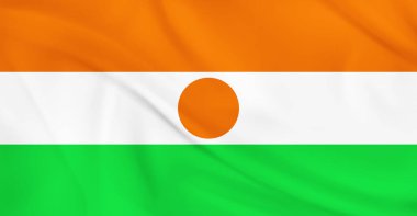 Nijer Bayrağı Havada Uçuyor