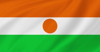 Nijer Bayrağı Havada Uçuyor