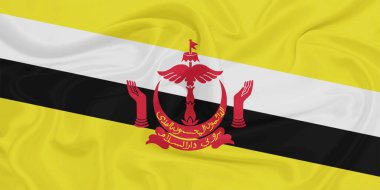 Brunei Bayrak Dalgalanması