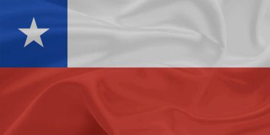 Şili Bayrağı Dalgalanması